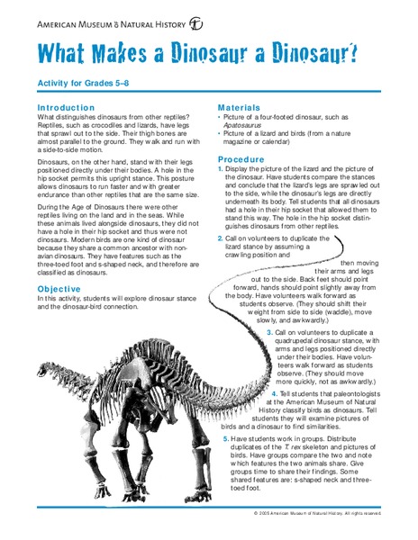 What Makes a Dinosaur a Dinosaur? Lesson Plan