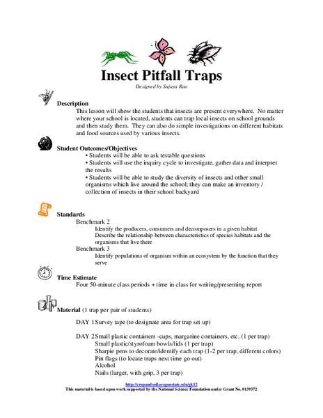 Insect Pitfall Traps Lesson Plan