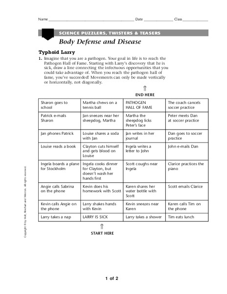Body Defense and Disease Organizer