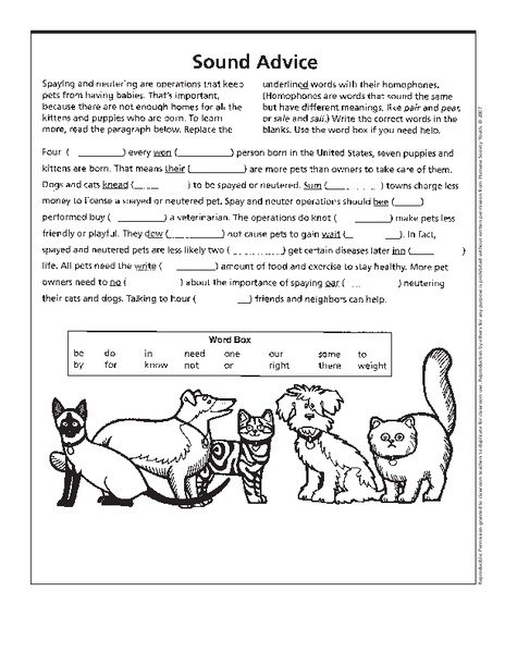 Sound Advice Lesson Plan