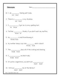 Homonyms 3 Worksheet