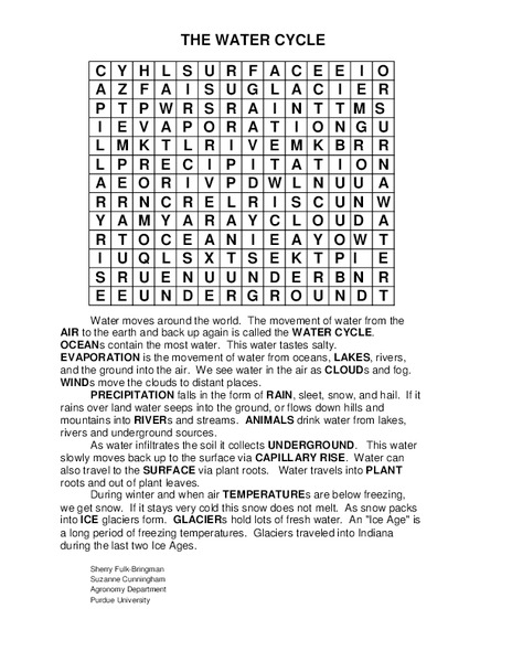 The Water Cycle Word Search Worksheet