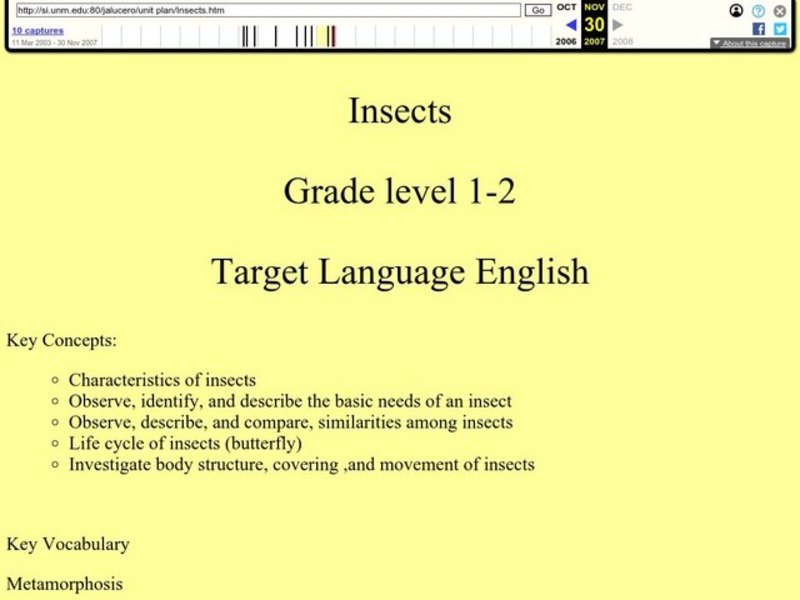 Insects Lesson Plan