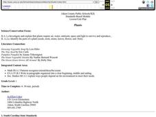 Plants: Parts of a Flower Lesson Plan