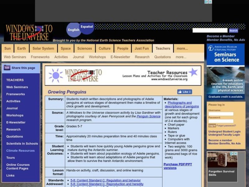 Growing Penguins Lesson Plan