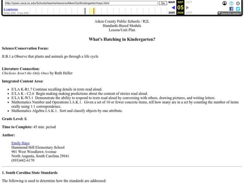 What's Hatching in Kindergarten? Lesson Plan
