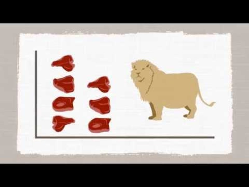 An Introduction to Milton Friedman's The Role of Monetary Policy Instructional Video