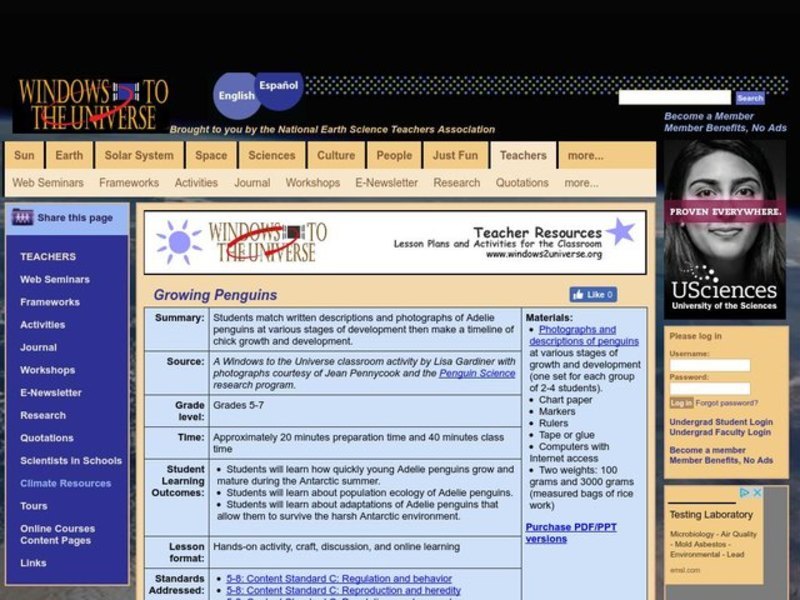 Growing Penguins Lesson Plan