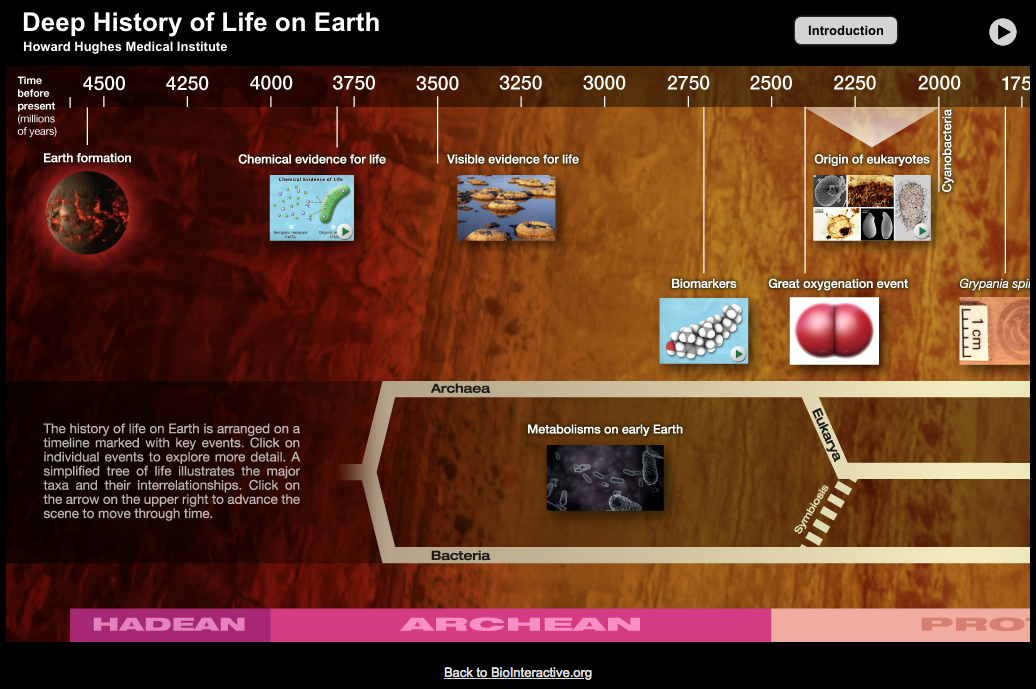 Deep History of Life on Earth Interactive