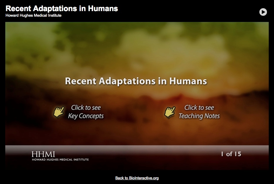 Recent Adaptations in Humans Interactive