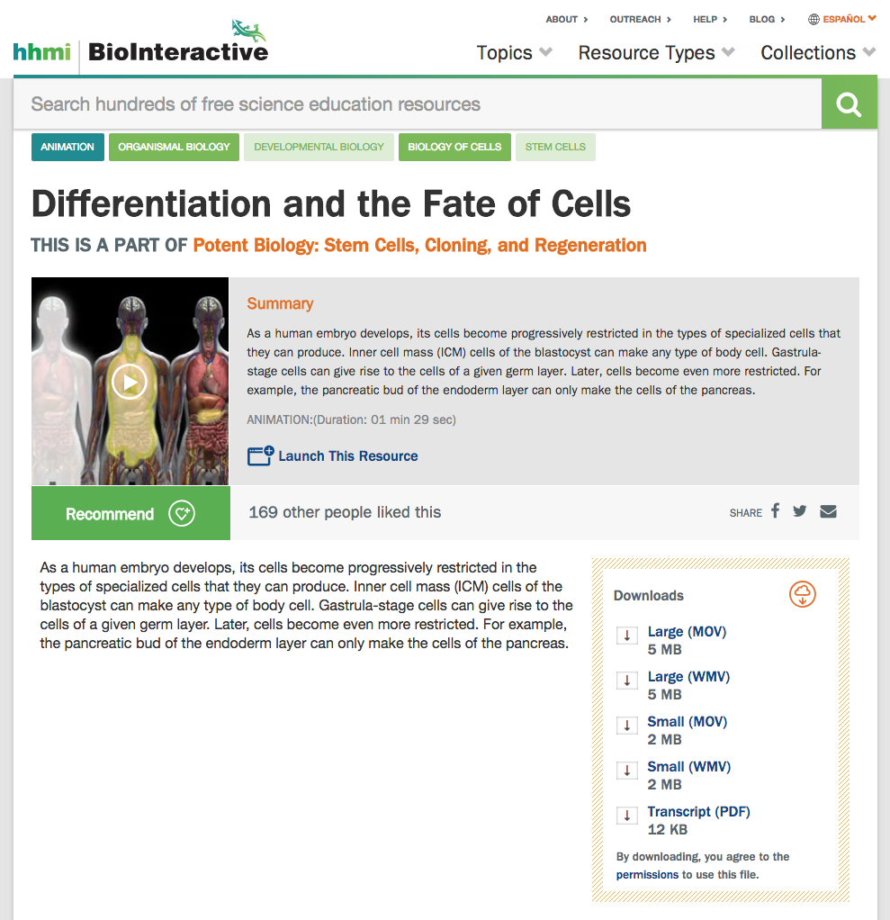 Differentiation and the Fate of Cells Instructional Video