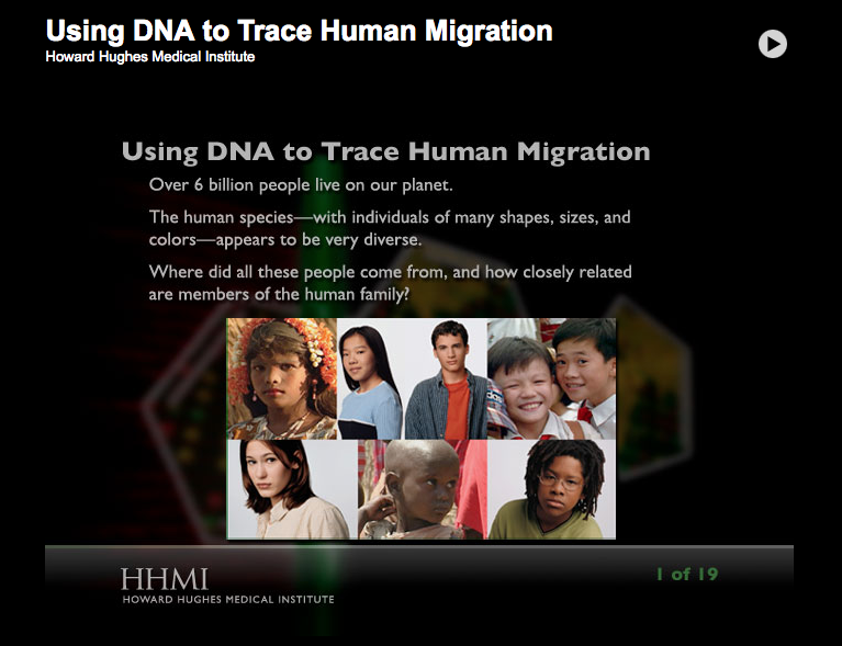 Using DNA to Trace Human Migration Interactive