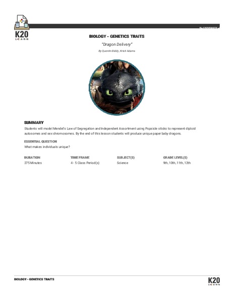 Dragon Delivery Lesson Plan