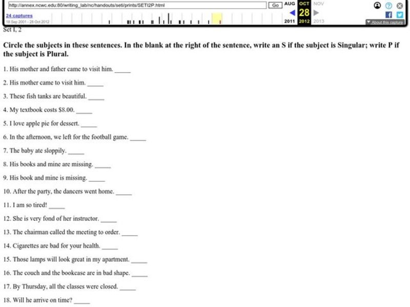 Singular and Plural Subjects Worksheet