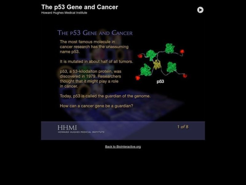 The p53 Gene and Cancer Interactive