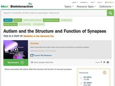 Autism and the Structure and Function of Synapses Instructional Video
