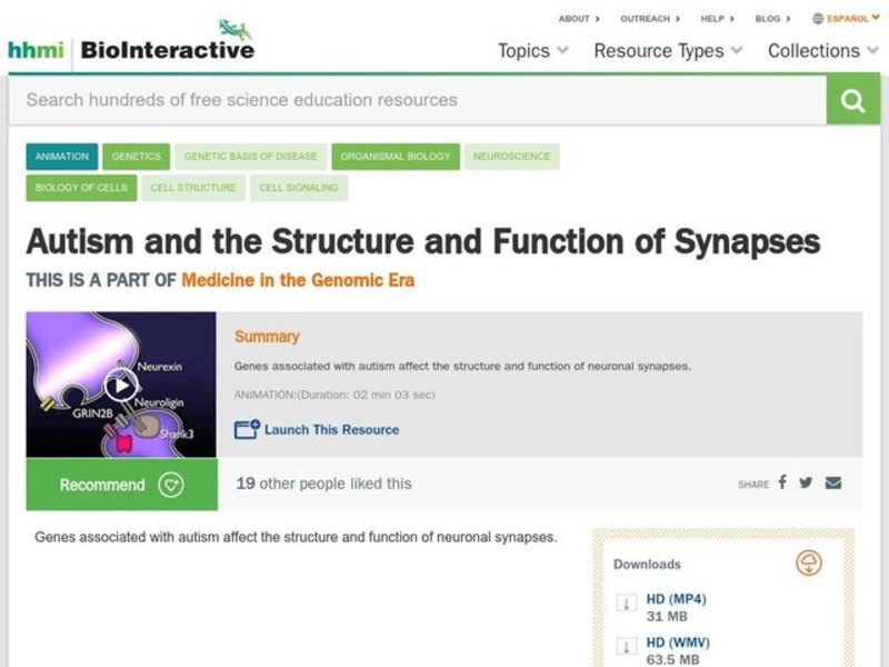Autism and the Structure and Function of Synapses Instructional Video
