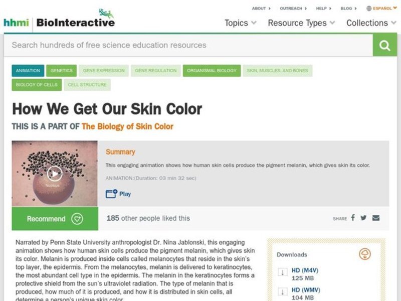 How We Get Our Skin Color Instructional Video