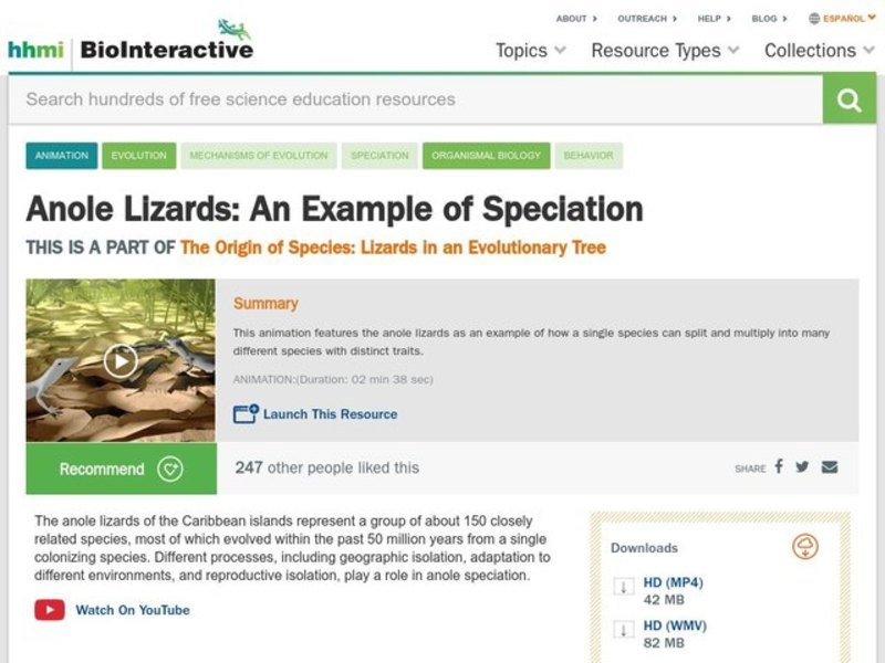 Anole Lizards: An Example of Speciation Instructional Video
