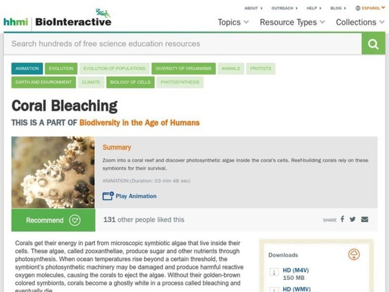 Coral Bleaching Instructional Video