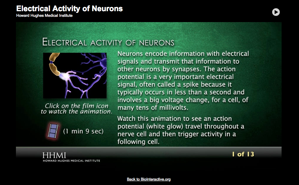 Electrical Activity of Neurons Interactive