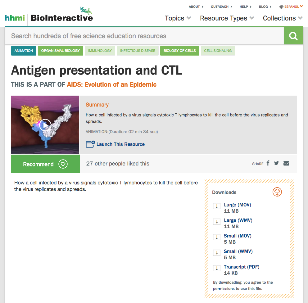 Antigen Presentation and CTL Instructional Video