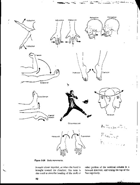 Body Movements Organizer
