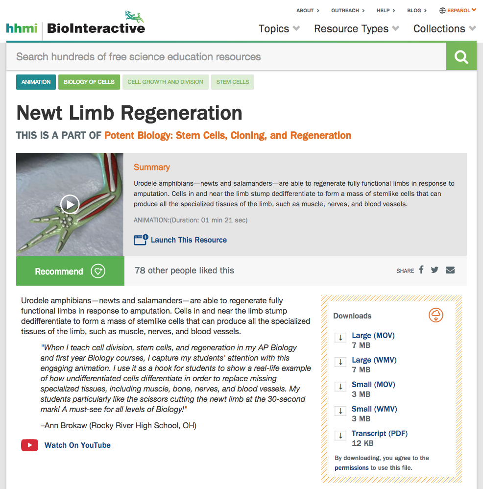 Newt Limb Regeneration Instructional Video
