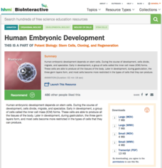 Human Embryonic Development Instructional Video