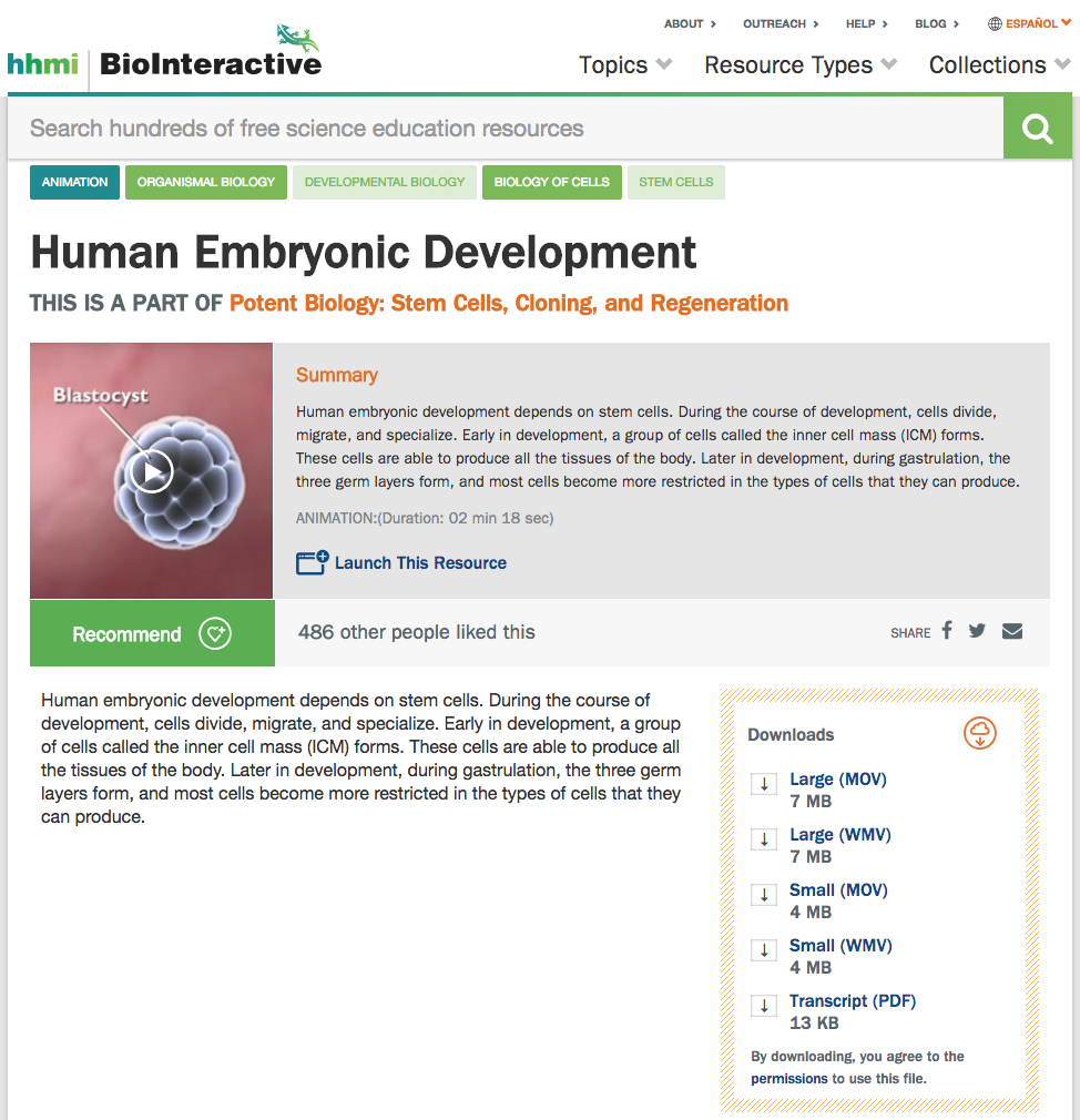 Human Embryonic Development Instructional Video