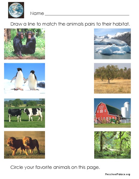 Habitats Lesson Plan