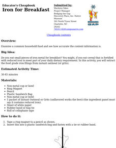 Iron for Breakfast Lesson Plan
