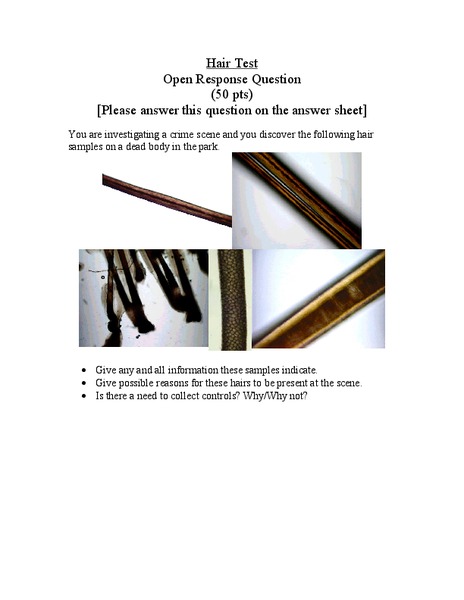 Hair Test Worksheet
