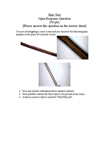 Hair Test Worksheet