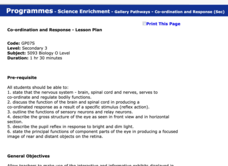 Co-ordination and Response - Lesson Plan Lesson Plan