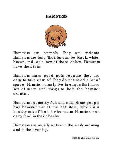 Hamsters Worksheet