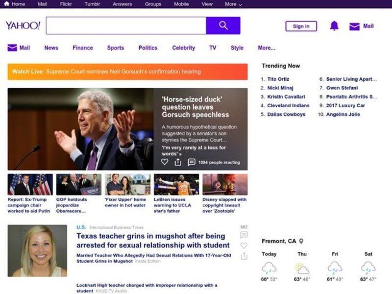 Hamsters Lesson Plan