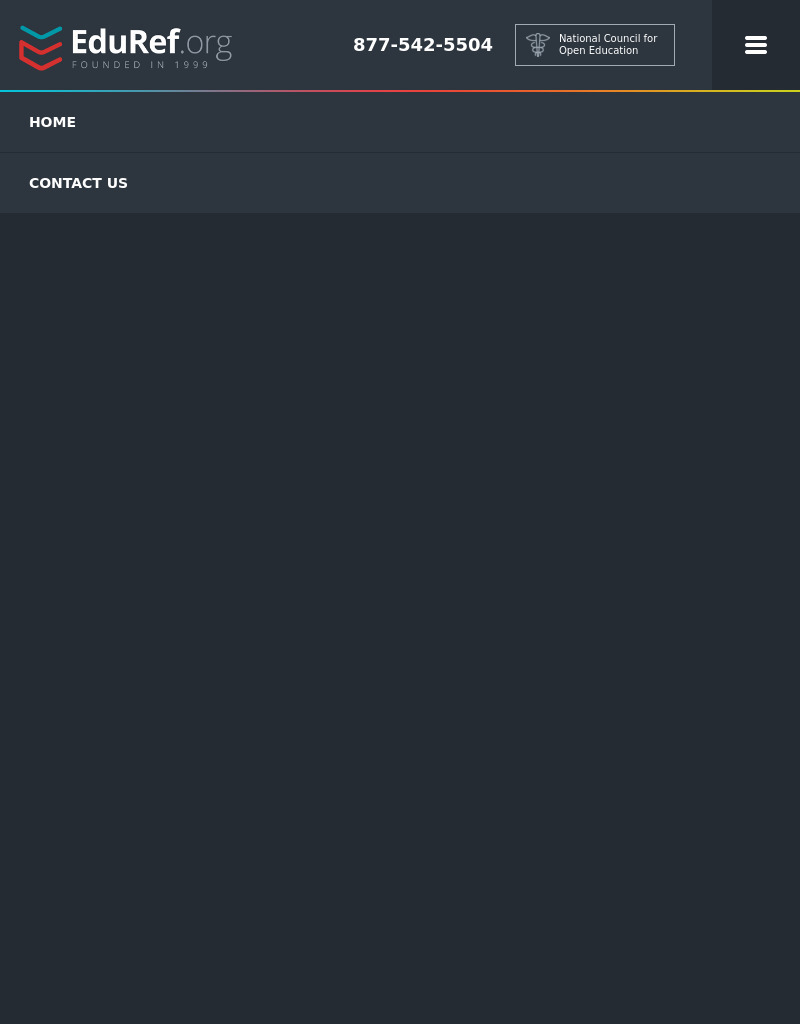 Holes, by Louis Sachar Lesson Plan