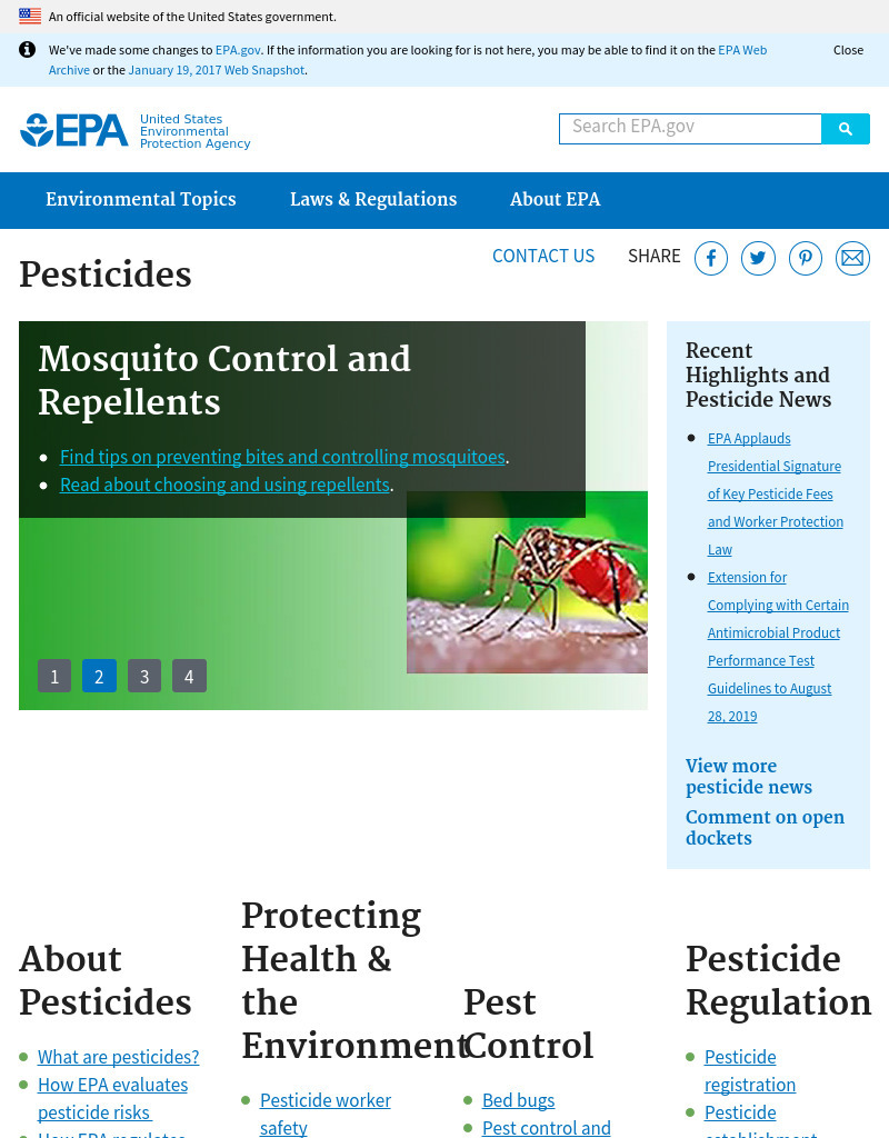 Learn About Chemicals Around Your House Activity