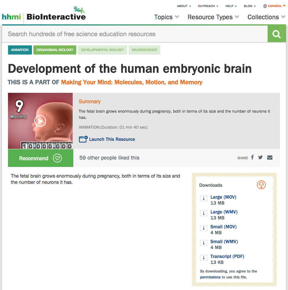 Development of the Human Embryonic Brain Instructional Video