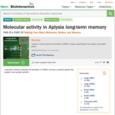 Molecular Activity in Aplysia Long-Term Memory Instructional Video