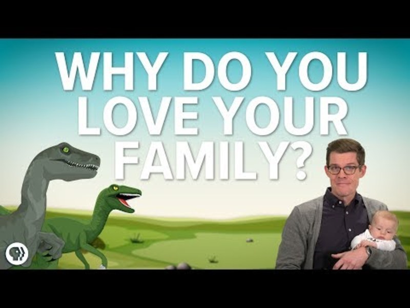 Why Do You Love Your Family? Instructional Video