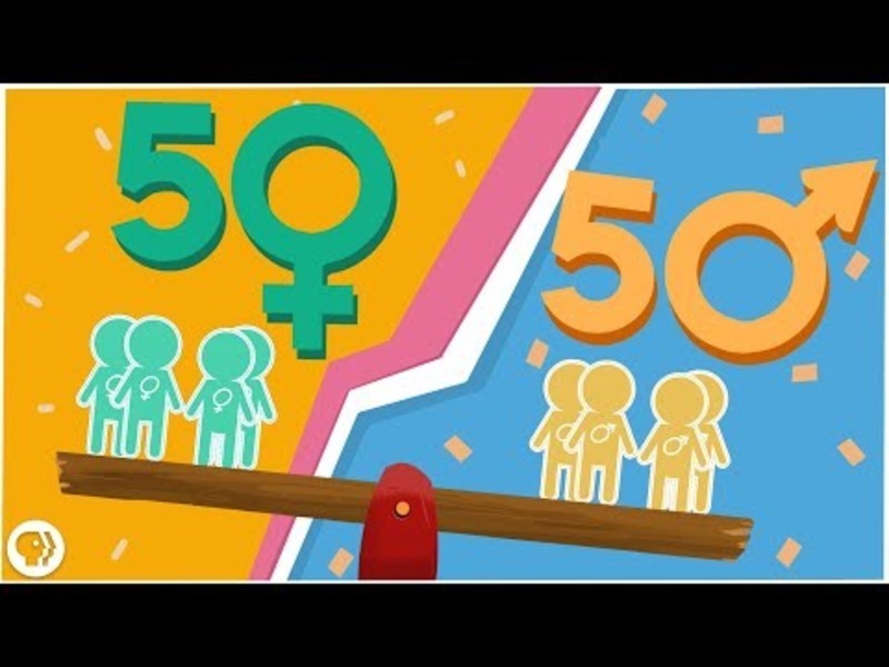 Why Are There as Many Males as Females? Instructional Video