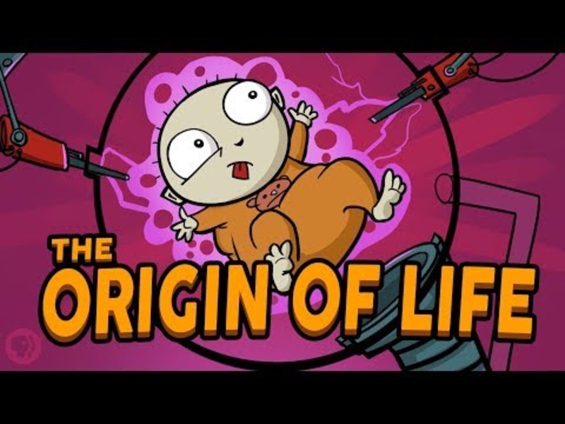 Where Did Life Come From? Instructional Video