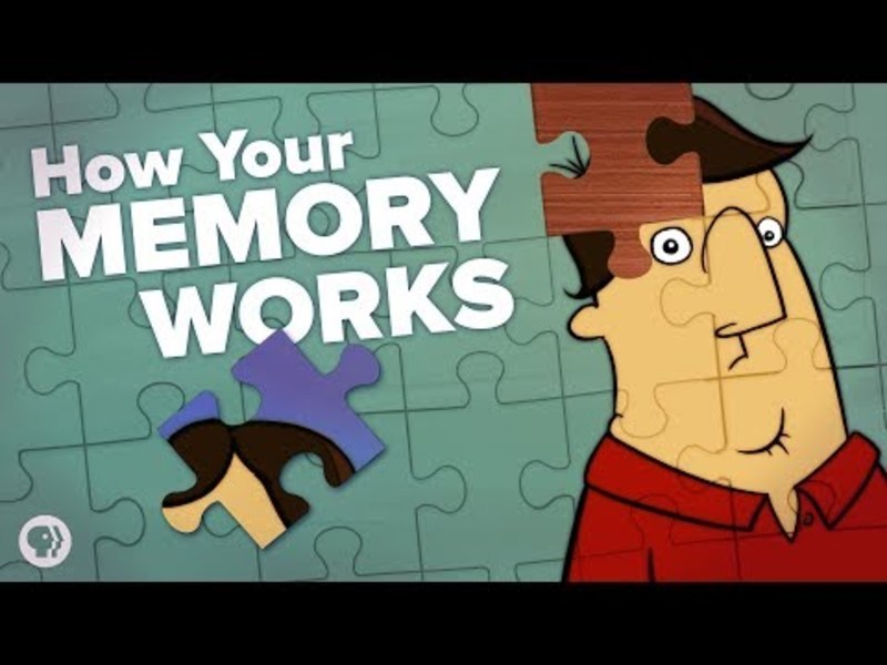 What If You Never Forgot Anything? Instructional Video