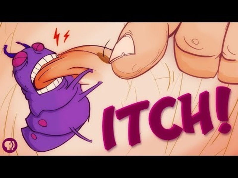 Why Do We Itch? Instructional Video