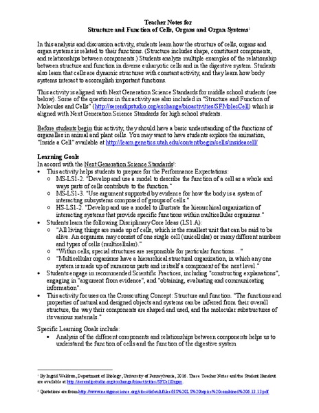 Structure and Function of Cells, Organs and Organ Systems Activity