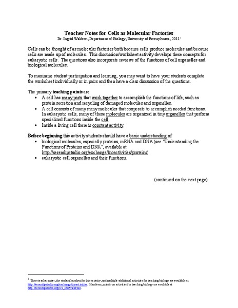 Cells as Molecular Factories Activity