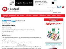 Basic Motor Skills Lesson Plan