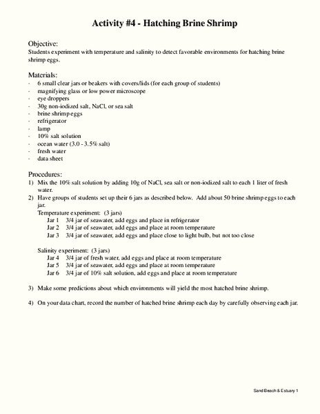 Hatching Brine Shrimp Lesson Plan